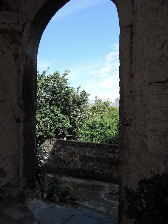 La Casa Nel Cortile Bed & Breakfast Vico Equense Luaran gambar